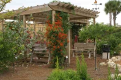 colorful pergola3.14.08 (600 x 402)