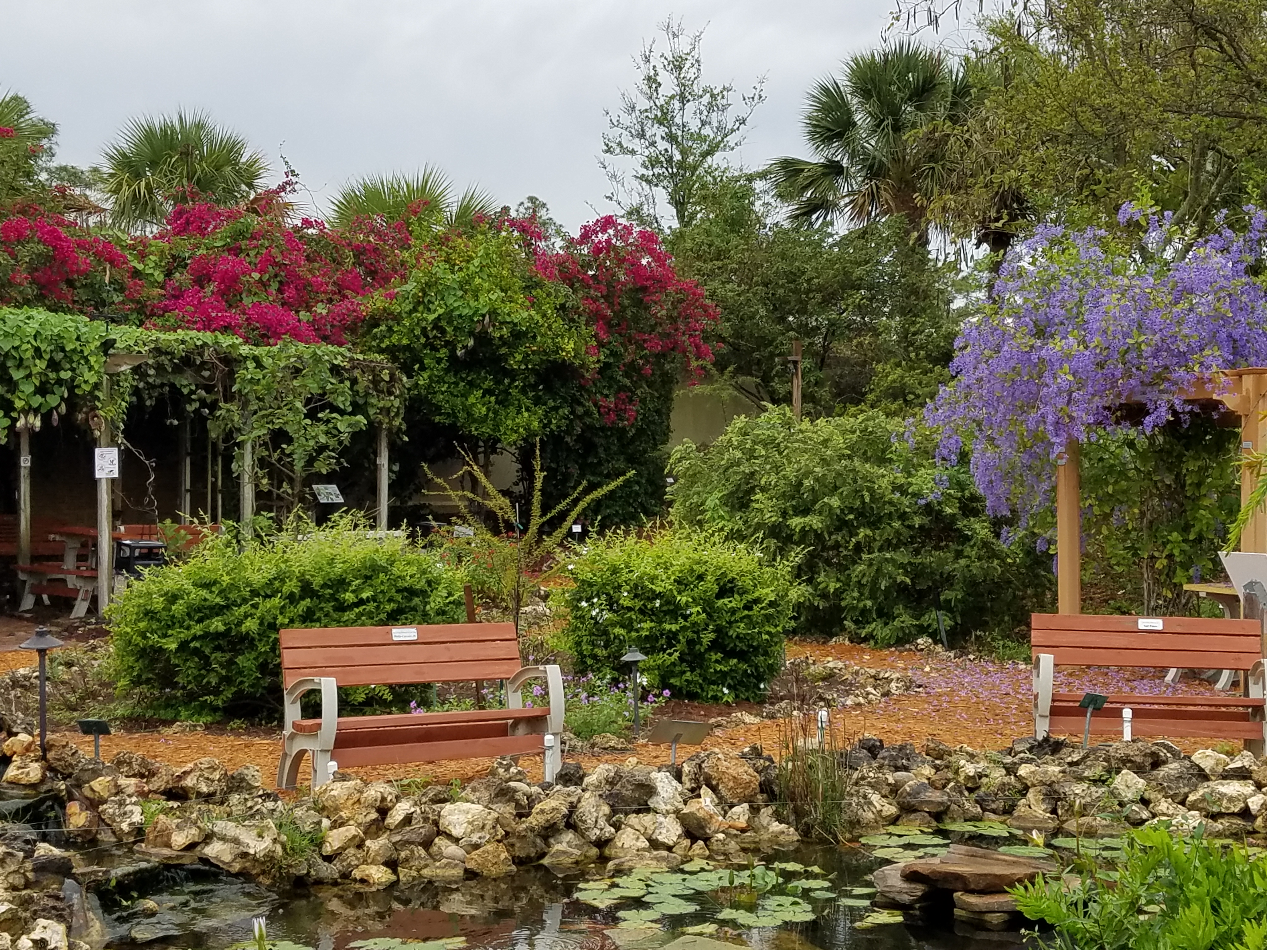 Crooked Garden Inc The Butterfly Garden At Pelican Preserve